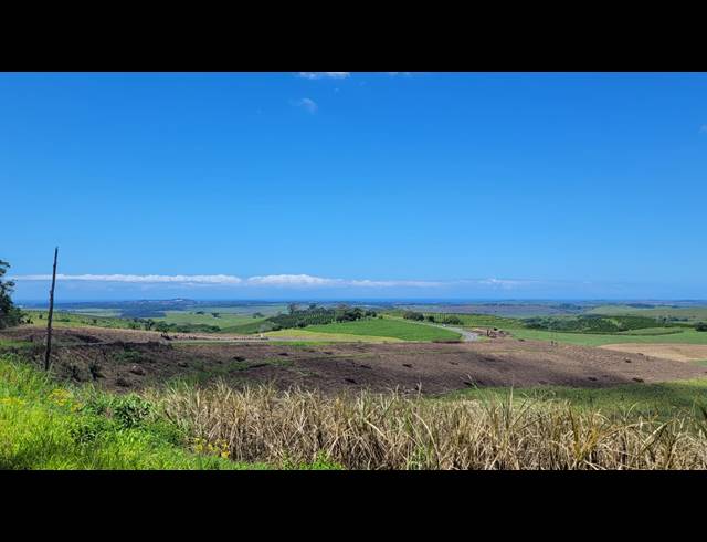 134HA FARM FOR SALE IN BALLITO RURAL